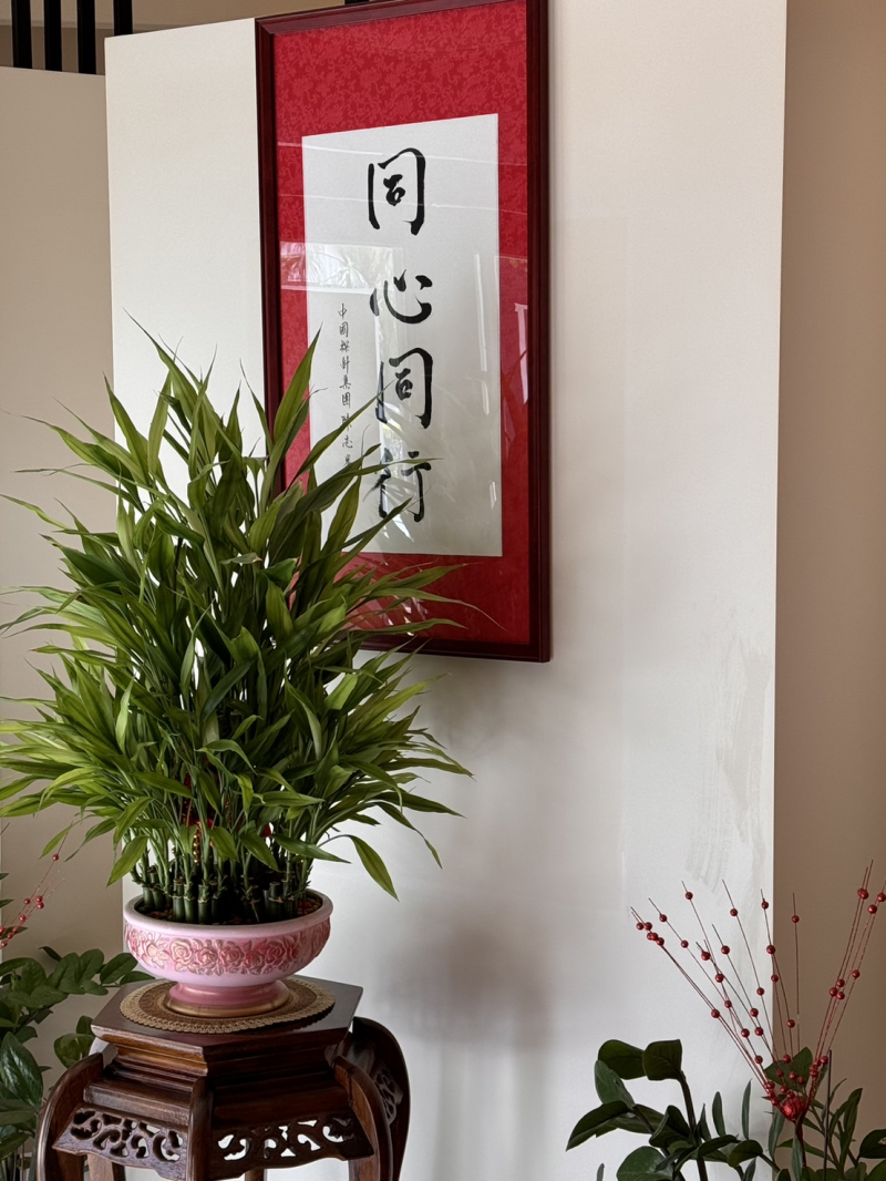 S__64241810.jpg